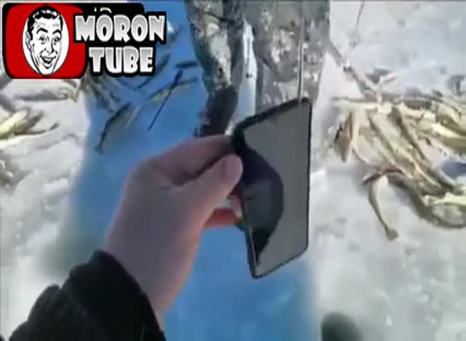 Video :If there are fish under the ice, how can you tell